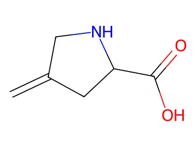 4-methylene-L-proline structure