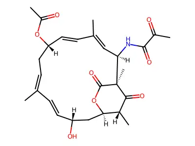 N-[(1S,2R,3E,5E,7S,9E,11E,13S,15R,19R)-7-(Acetyloxy)-13-hydroxy-1,4,10,19-tetramethyl-17,18-dioxo-16-oxabicyclo[13.2.2]nonadeca-3,5,9,11-tetren-2-yl]-2-oxopropanamide structure