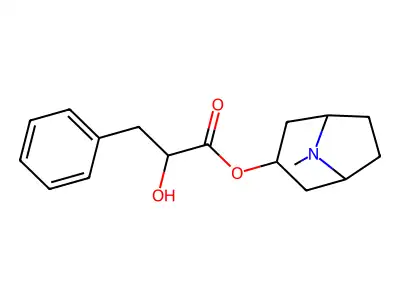 Littorine structure