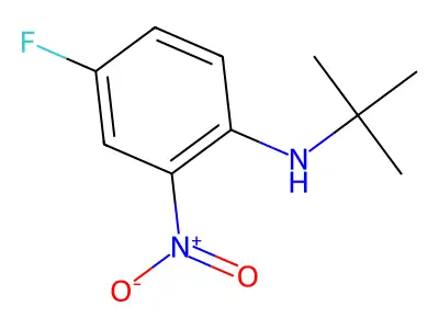 N-tert-butyl-4-fluoro-2-nitroaniline structure