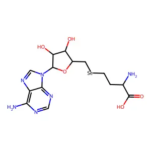 S-Adenosyl-L-Homoselenocysteine structure
