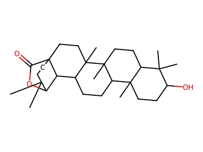 Oxyallobetulin structure