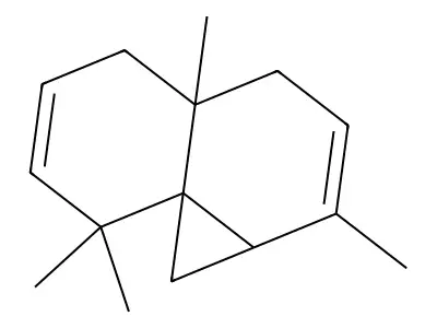 Thujopsadiene structure