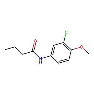 N-(3-chloro-4-methoxyphenyl)butanamide structure