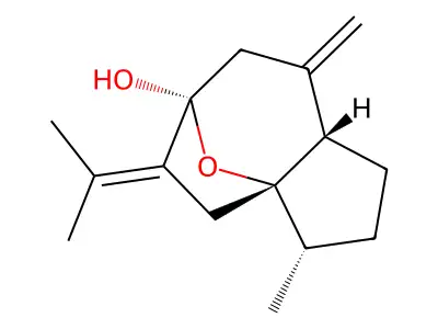 Isocurcumenol structure