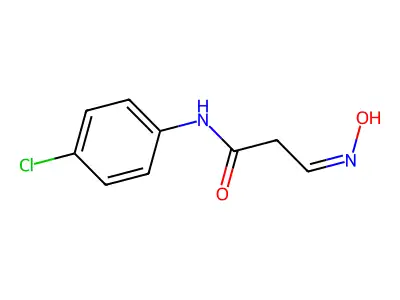N-(4-chlorophenyl)-3-hydroxyiminopropanamide structure