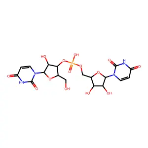 Uridylyl-(3'->5')-uridine structure