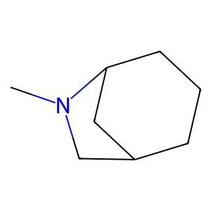 6-Methyl-6-azabicyclo[3.2.1]octane structure