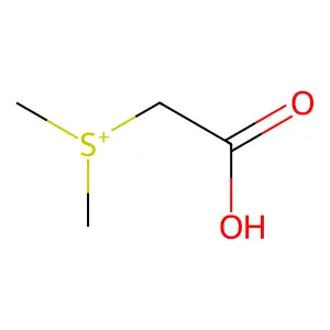 Dimethylsulfonioacetate structure