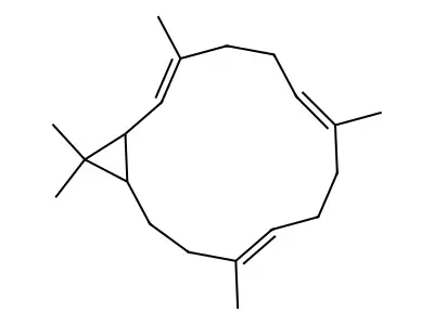 Casbene structure