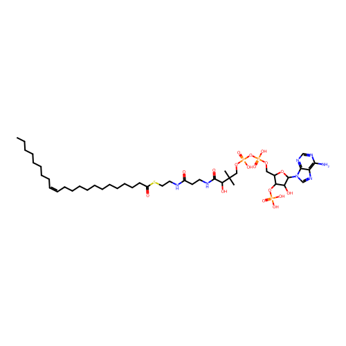 Erucyl-coenzyme A structure