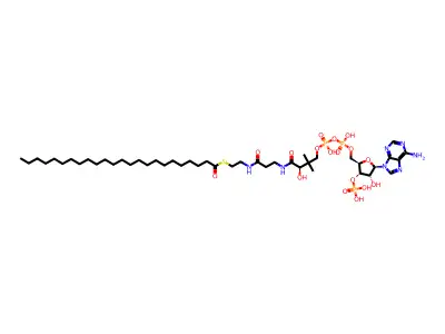 Lignoceroyl-CoA structure