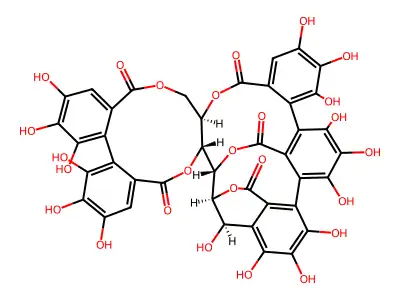 Castalagin structure