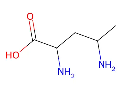 2,4-二氨基戊酸 structure
