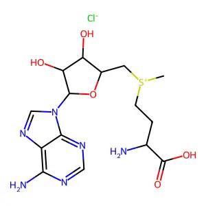 S-腺苷甲硫氨酸氯化物 structure