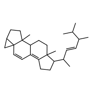 3alpha,5-Cyclo-5alpha-ergosta-6,8(14),22-triene structure