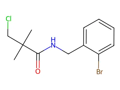 N1-(2-bromobenzyl)-3-chloro-2,2-dimethylpropanamide structure