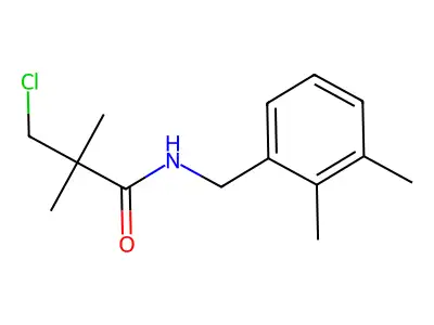 3-chloro-N-[(2,3-dimethylphenyl)methyl]-2,2-dimethylpropanamide structure