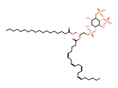 Brain PI(4,5)P2 structure