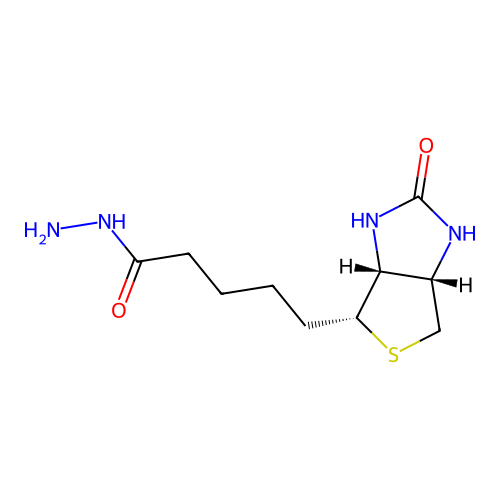 5-((3aR,4R,6aS)-2-oxohexahydro-1H-thieno[3,4-d]imidazol-4-yl)pentanehydrazide structure