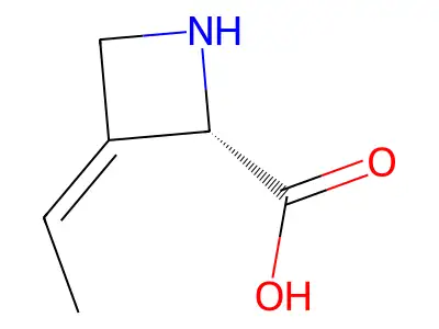 (2S)-3-Ethylideneazetidine-2-carboxylic acid structure