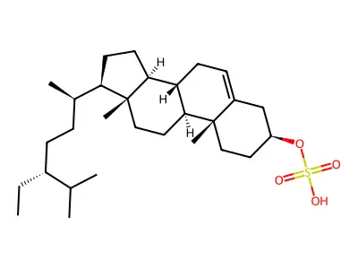 beta-Sitosterol sulfate structure
