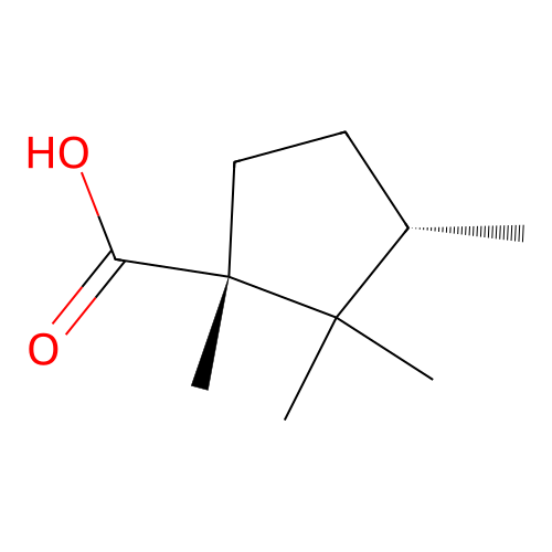 (1R,3S)-1,2,2,3-tetramethylcyclopentane-1-carboxylic acid structure