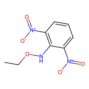 N-乙氧基-2,6-二硝基苯胺 structure