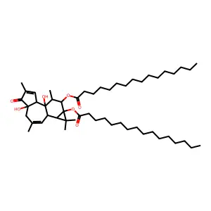 Phorbol diester with palmitic acid structure