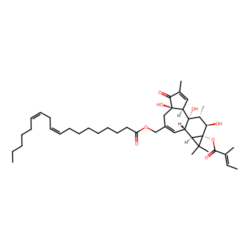 13-O-Tigloylphorbol-20-linoleate structure