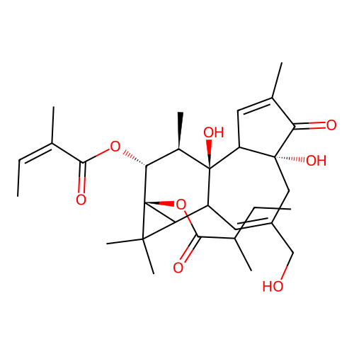 12-O-Tigloylphorbol-13-(2-methylbutyrate) structure