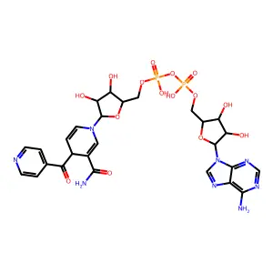 INH-NAD Adduct structure