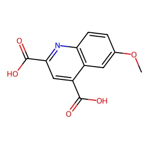 6-甲氧基喹啉-2,4-二甲酸 structure