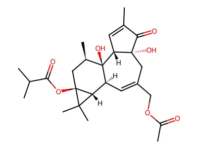 12-Deoxyphorbol-13-isobutyrate-20-acetate structure