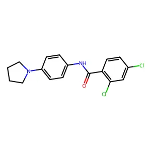 2,4-dichloro-N-(4-pyrrolidin-1-ylphenyl)benzamide structure