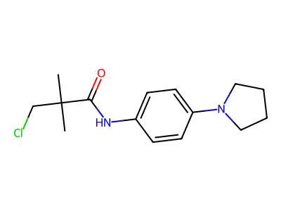 3-chloro-2,2-dimethyl-N-[4-(1-pyrrolidinyl)phenyl]propanamide structure