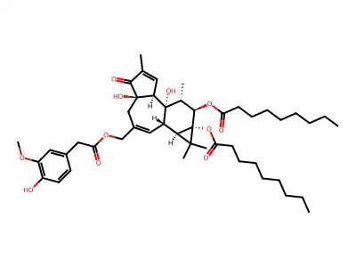 PDNHV structure
