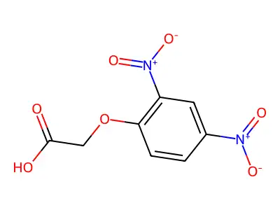 (2,4-二硝基苯氧基)乙酸 structure
