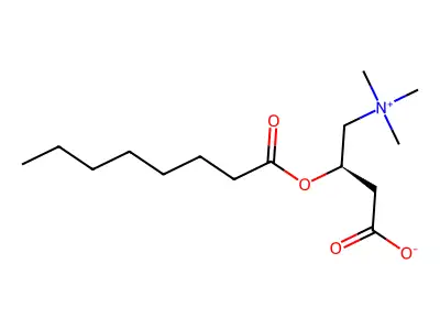 Octanoylcarnitine structure