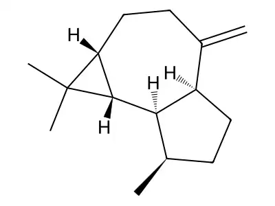 Aromadendrene structure