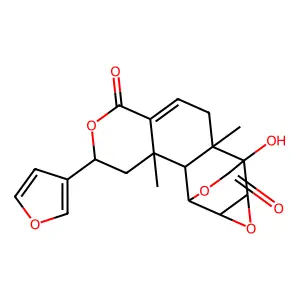 3,5-Dimethylpiperidine-2,6-dione structure