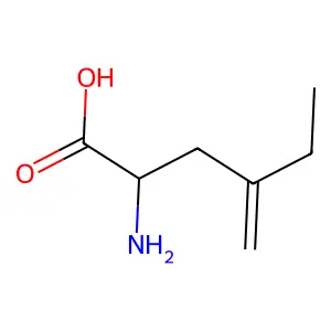(2S)-2-amino-4-methylidenehexanoic acid structure