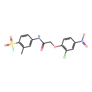 Benzenesulfonylfluoride, 4-[[2-(2-chloro-4-nitrophenoxy)acetyl]amino]-2-methyl- structure