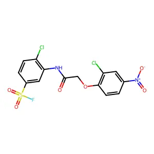 Benzenesulfonylfluoride, 4-chloro-3-[[2-(2-chloro-4-nitrophenoxy)acetyl]amino]- structure