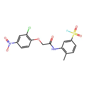 Benzenesulfonylfluoride, 3-[[2-(2-chloro-4-nitrophenoxy)acetyl]amino]-4-methyl- structure