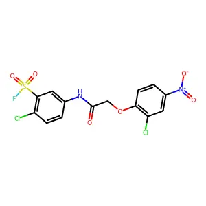 Benzenesulfonylfluoride, 2-chloro-5-[[2-(2-chloro-4-nitrophenoxy)acetyl]amino]- structure