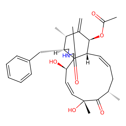 Isozygosporin A structure