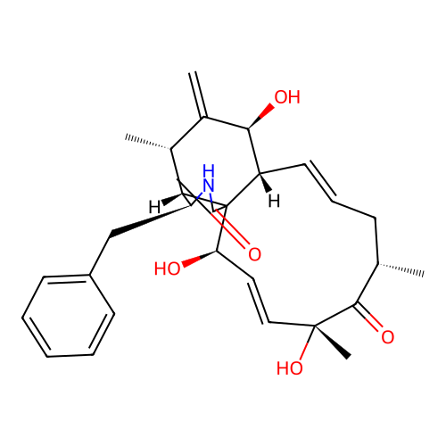 Deactylzygosporin A structure