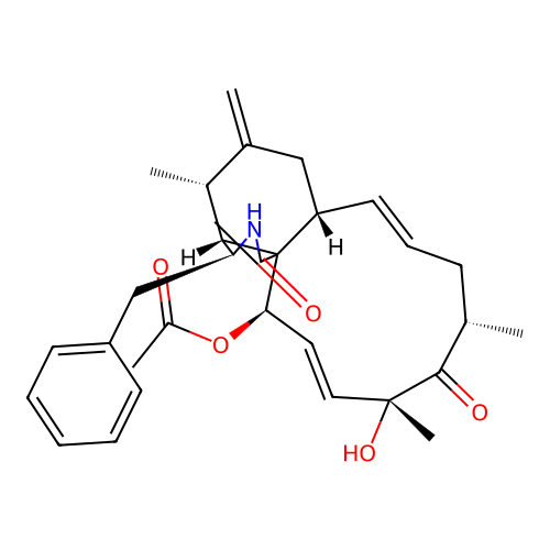 Zygosporin G structure
