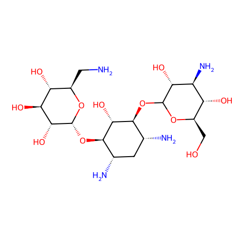 Aspidium structure